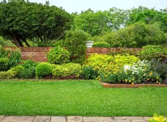 landscaping services Carterville